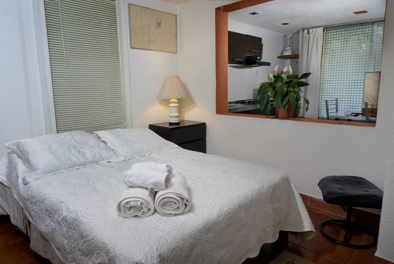 Suite 4A, Terraza, Garden House, Welcome To San Angel Meksyk Zewnętrze zdjęcie
