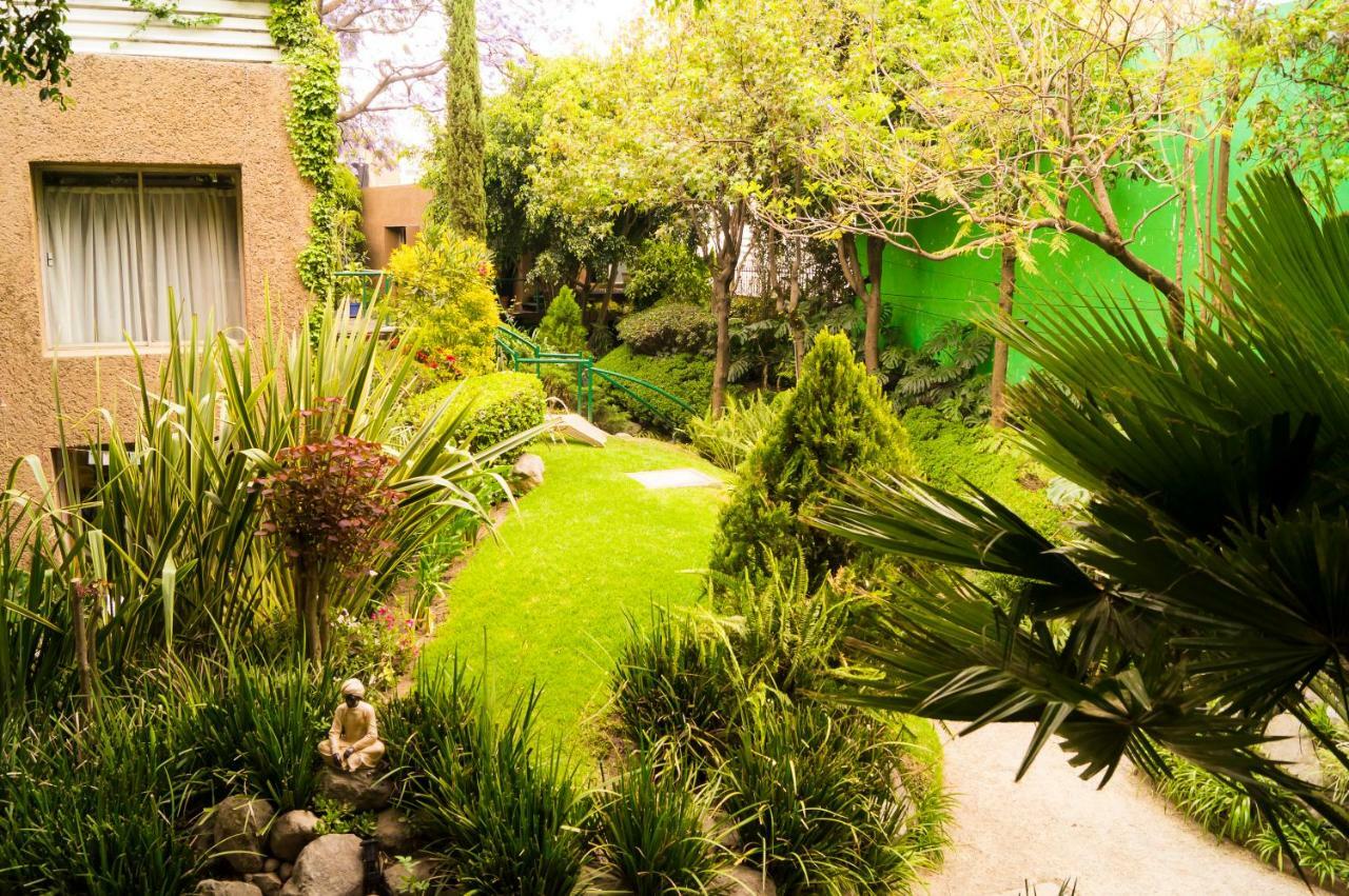 Suite 4A, Terraza, Garden House, Welcome To San Angel Meksyk Zewnętrze zdjęcie
