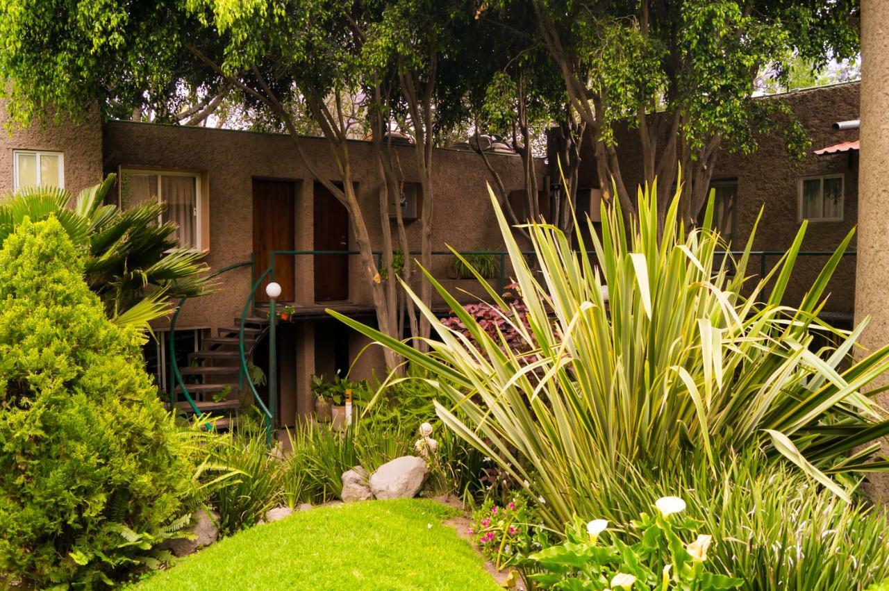 Suite 4A, Terraza, Garden House, Welcome To San Angel Meksyk Zewnętrze zdjęcie