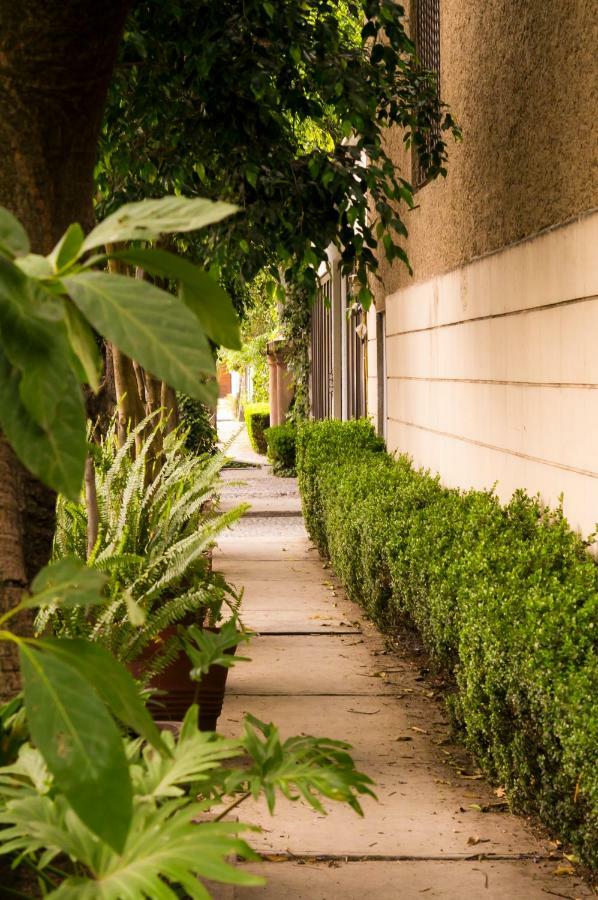 Suite 4A, Terraza, Garden House, Welcome To San Angel Meksyk Zewnętrze zdjęcie