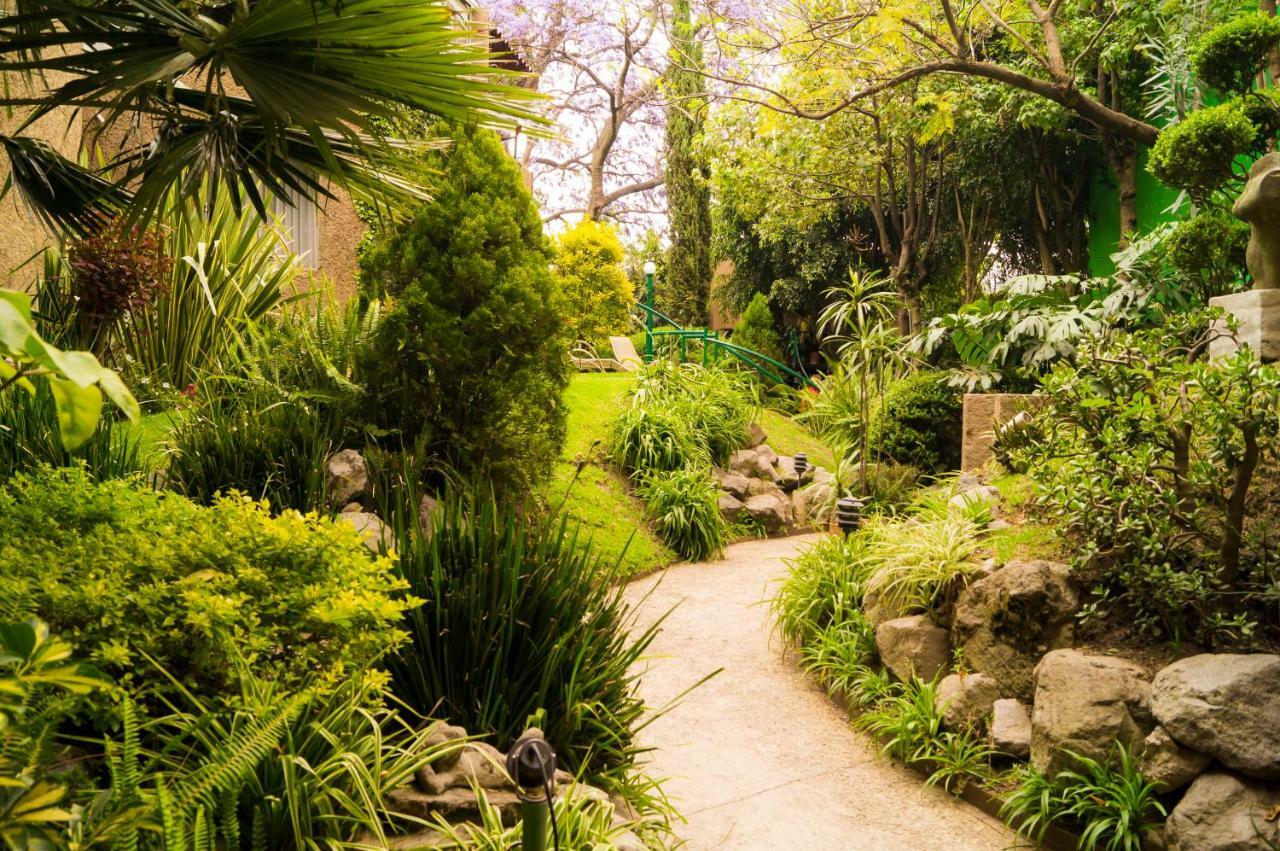 Suite 4A, Terraza, Garden House, Welcome To San Angel Meksyk Zewnętrze zdjęcie